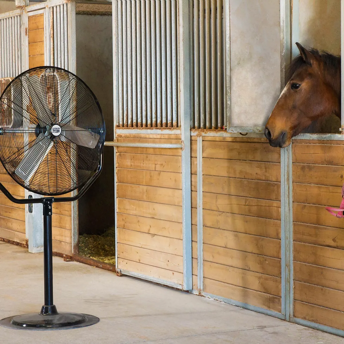 30 In. 3-Speed Tilting Yoke Pedestal Fan