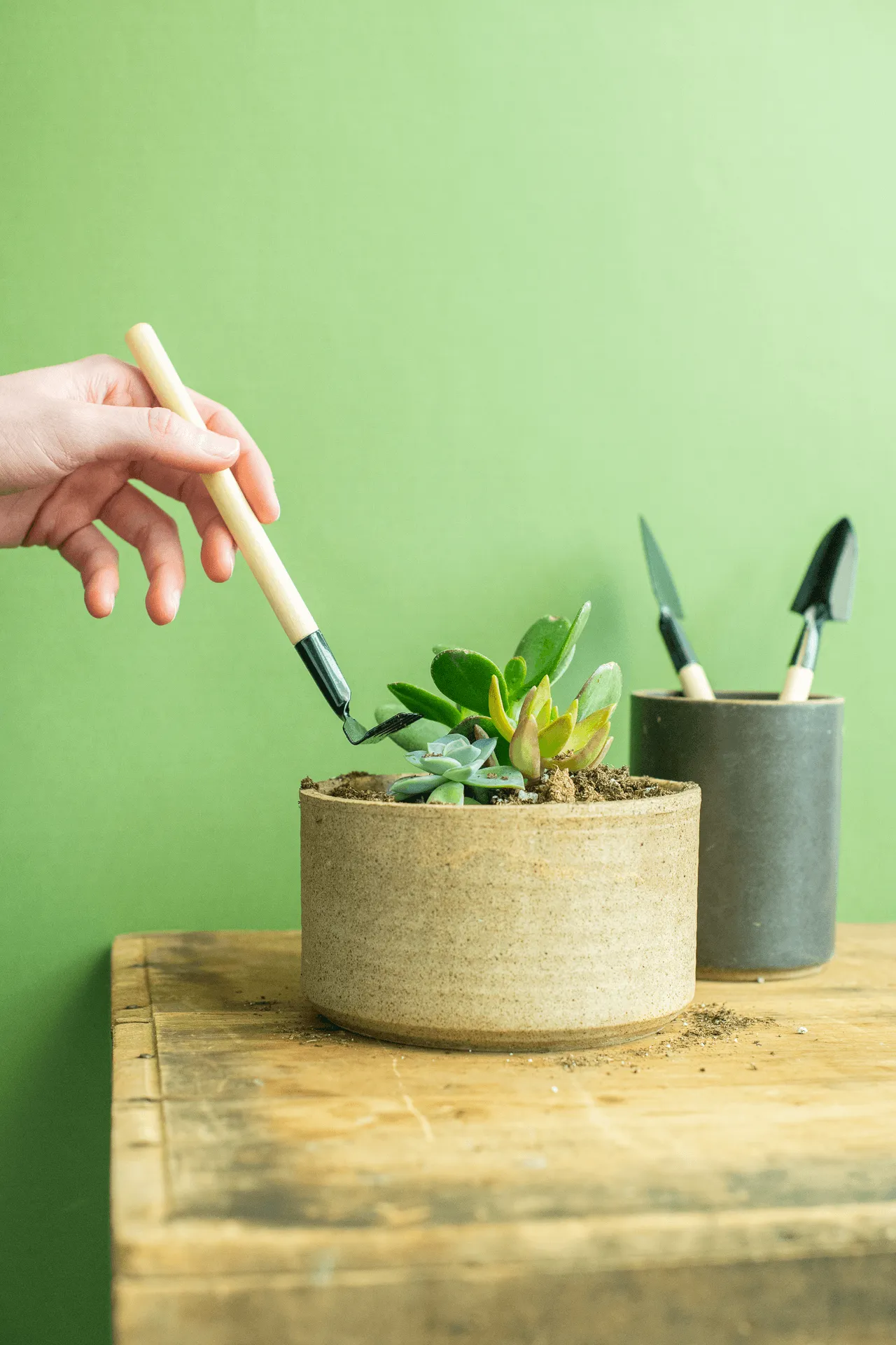 Bamboo Terrarium Tools