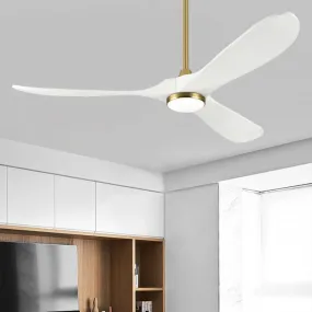 Dusten | Lighted Ceiling Fan