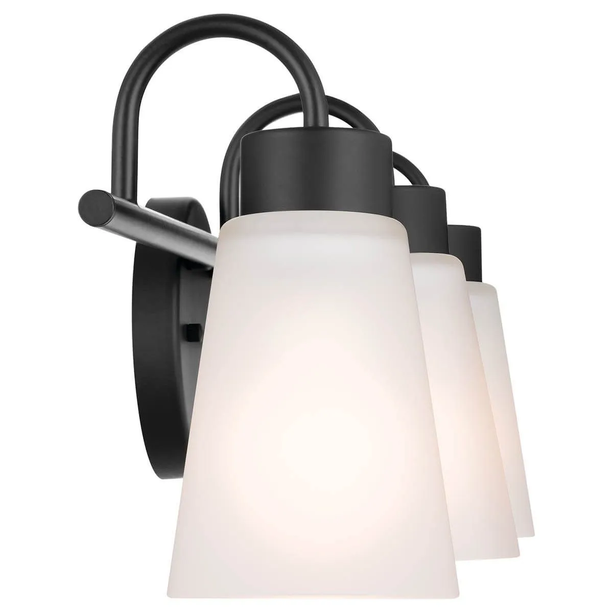 Erma 23 in. 3 Lights Vanity Light Black finish