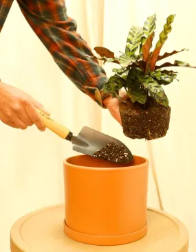 Garden Shovel