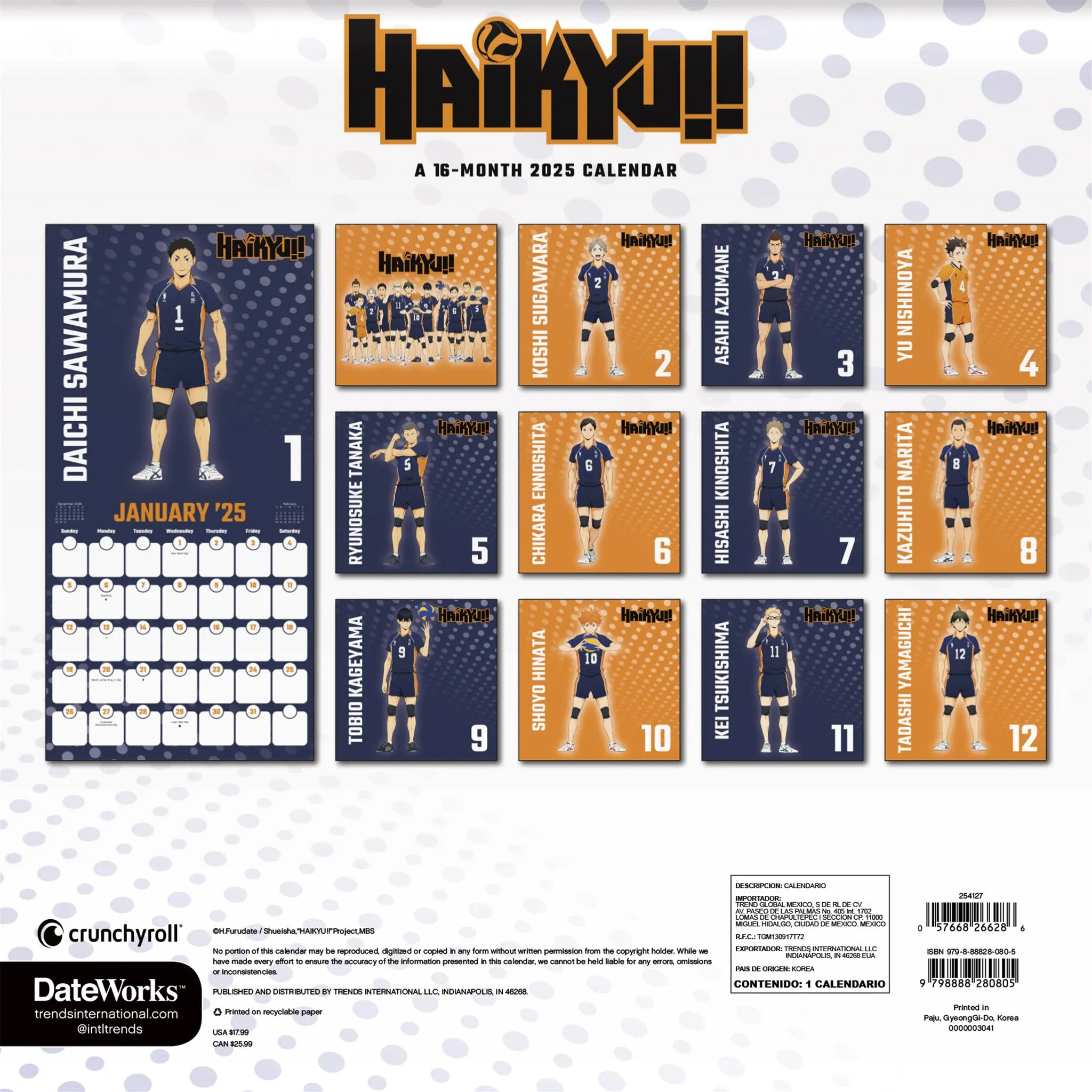 Haikyu Wall 2025 Calendar - Online Exclusive