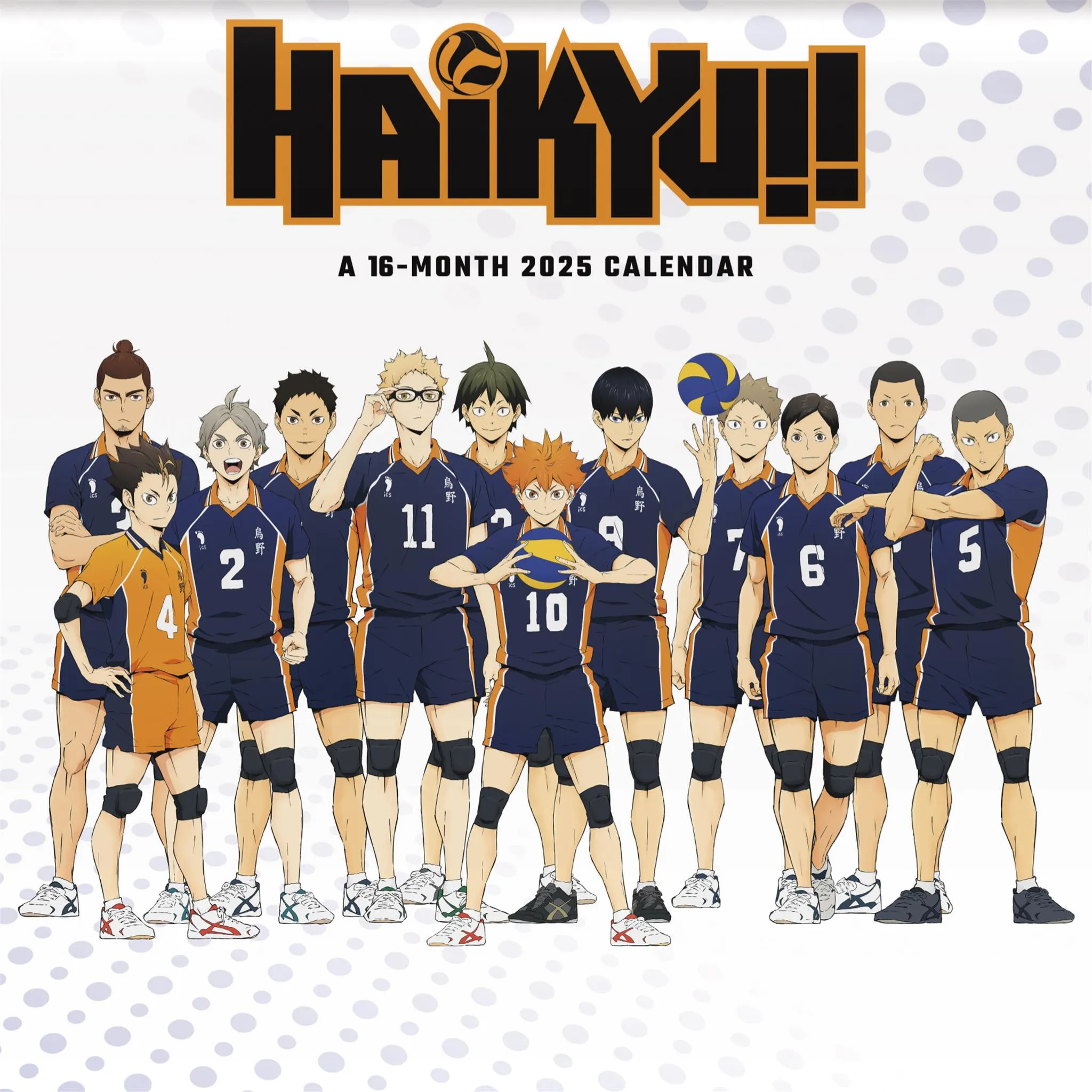 Haikyu Wall 2025 Calendar - Online Exclusive