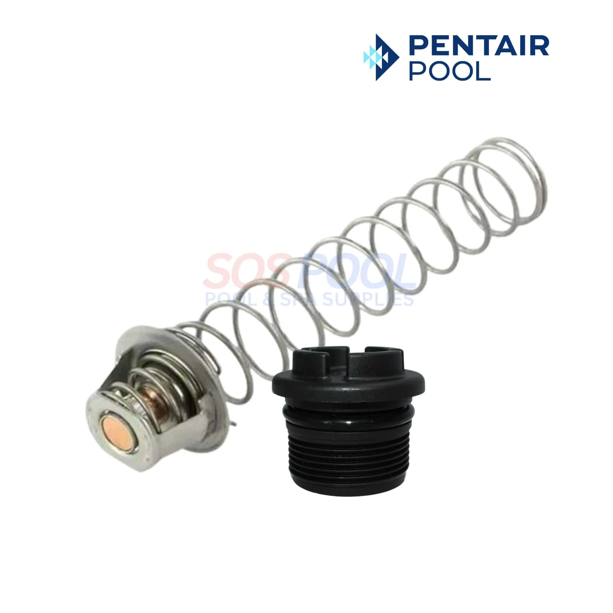 Pentair Master Service Package Repair Kit For MasterTemp and Max-E-Therm Water and Electrical System | 461100