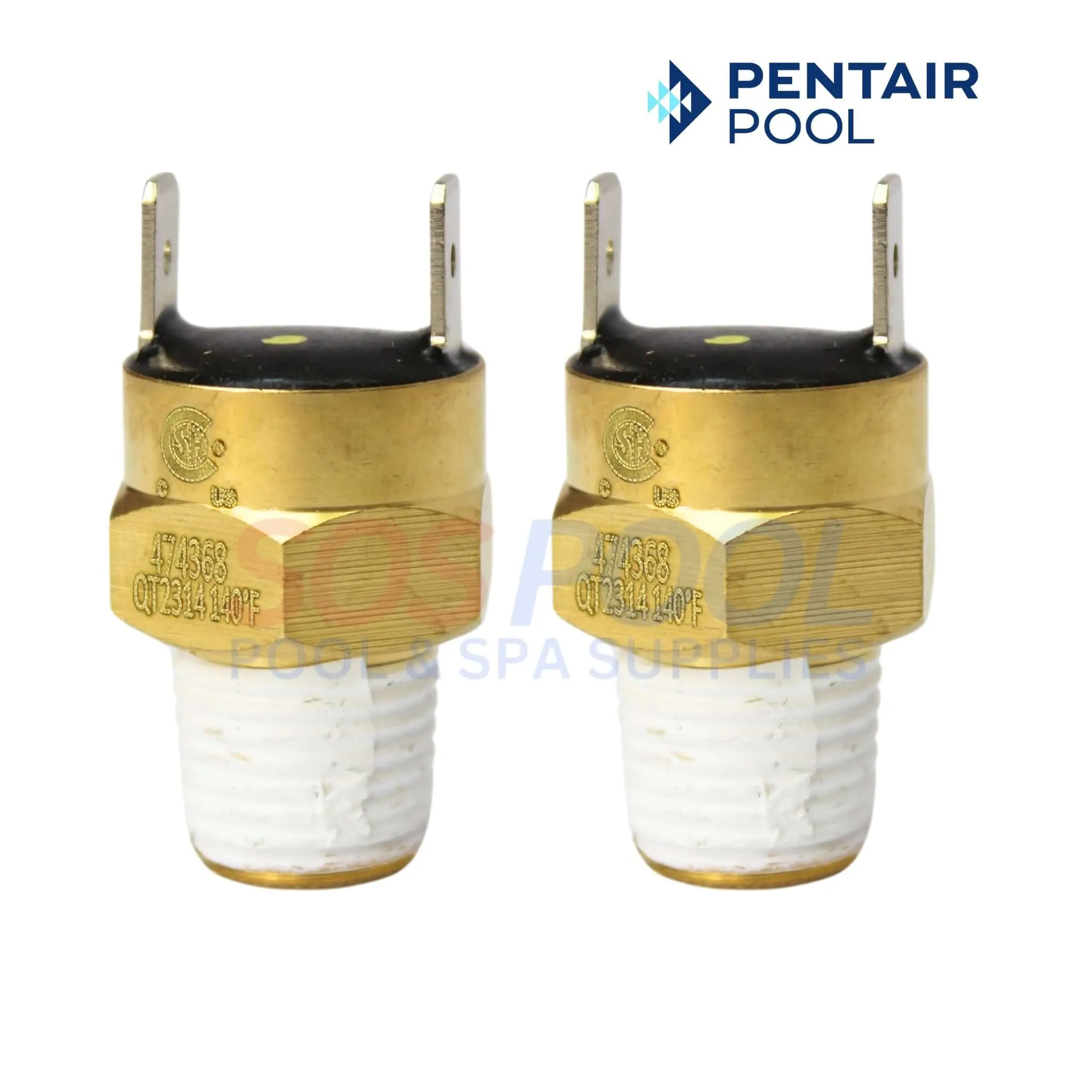 Pentair Master Service Package Repair Kit For MasterTemp and Max-E-Therm Water and Electrical System | 461100