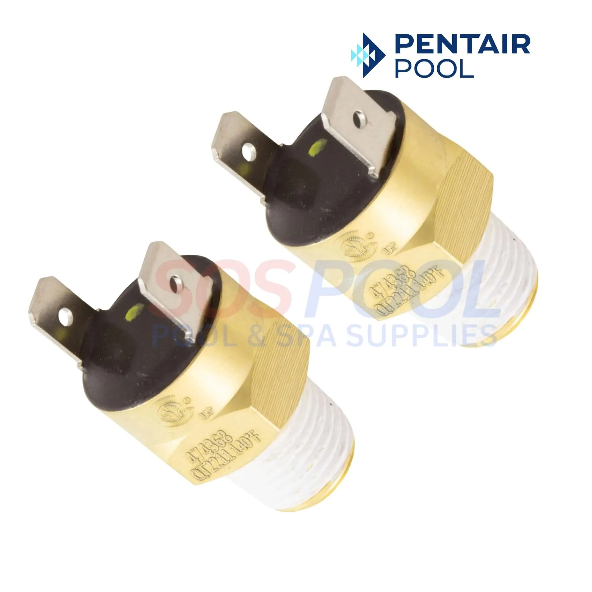 Pentair Master Service Package Repair Kit For MasterTemp and Max-E-Therm Water and Electrical System | 461100