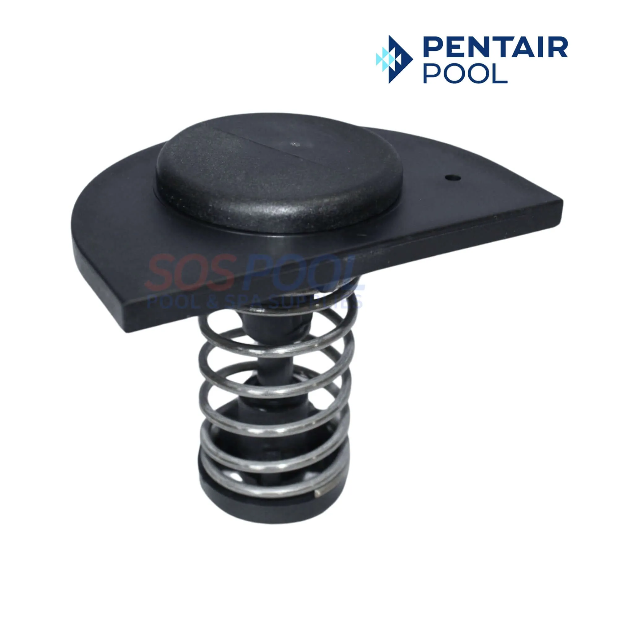 Pentair Master Service Package Repair Kit For MasterTemp and Max-E-Therm Water and Electrical System | 461100